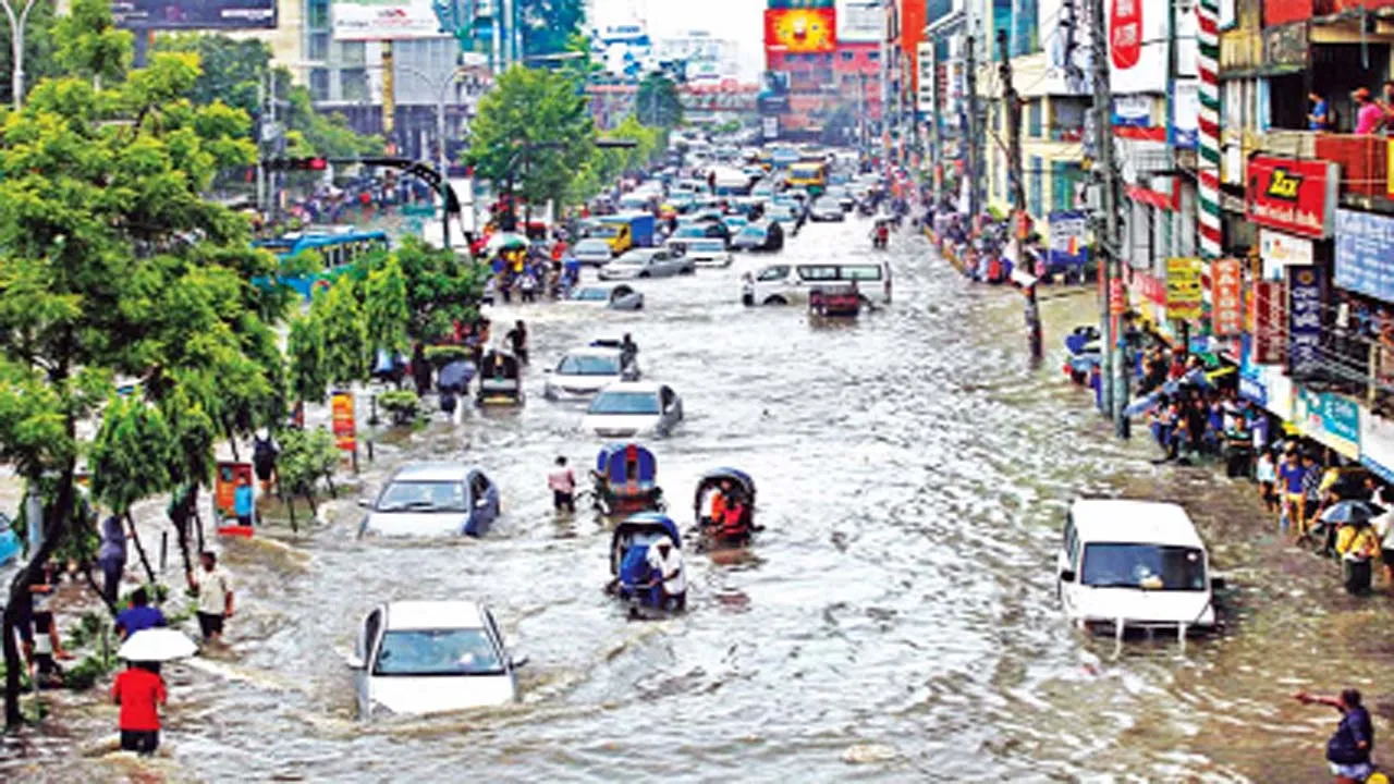 কর্মসংস্থান ও জলাবদ্ধতা নিরসনে ব্ল্যাক সোলজার ফ্লাই