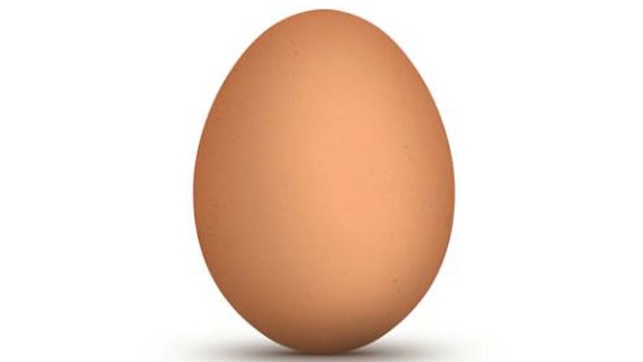egg