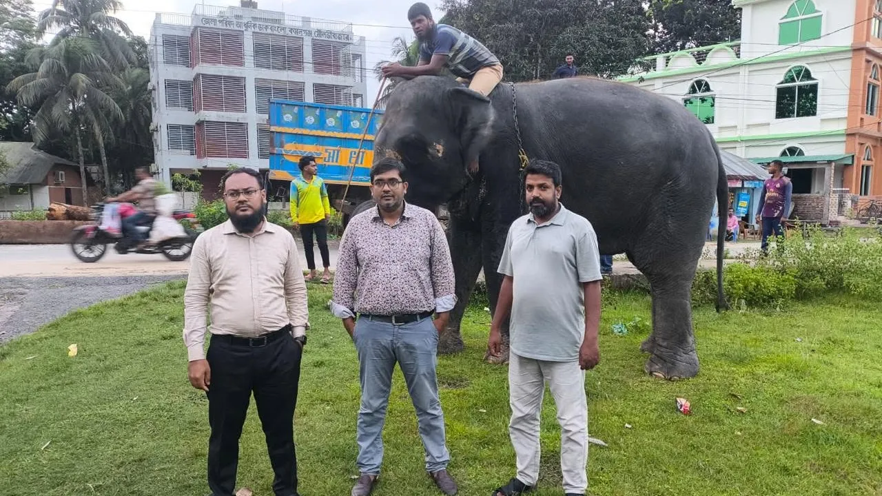 পরিবেশমন্ত্রীর নির্দেশে গাজীপুর সাফারি পার্কে ফিরছে নিহারকলি ও সম্রাট বাহাদুর