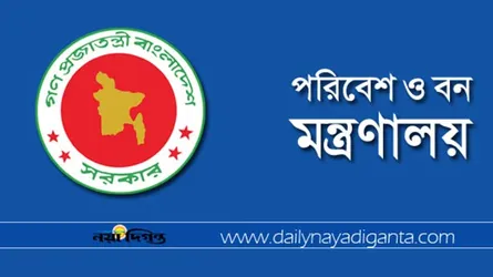 কক্সবাজার সৈকতের অবৈধ দোকান উচ্ছেদ ও লাইসেন্স বাতিলের উদ্যোগ