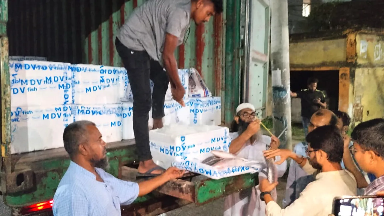ভারতে দুই দিনে ৫৬.২৫ মেট্রিক টন ইলিশ রফতানি