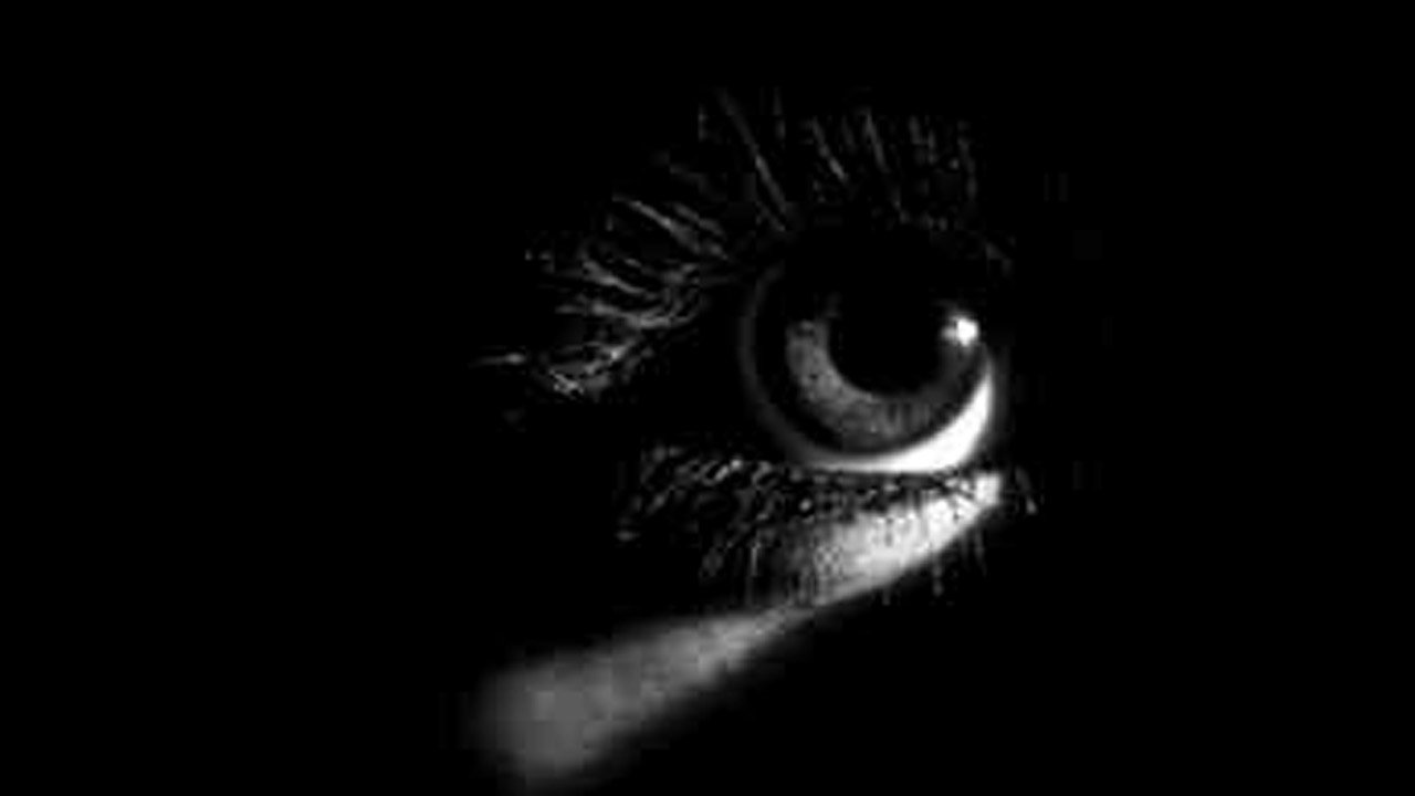 eye-light