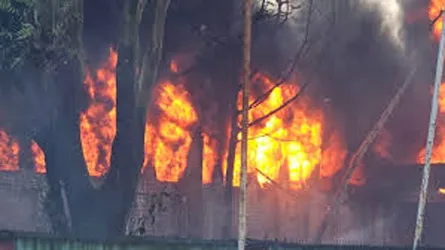 গাজীপুরে কয়েল কারখানায় আগুন : দাহ্য পদার্থ থাকলেও নবায়ন করা হয়নি ফায়ার লাইসেন্স