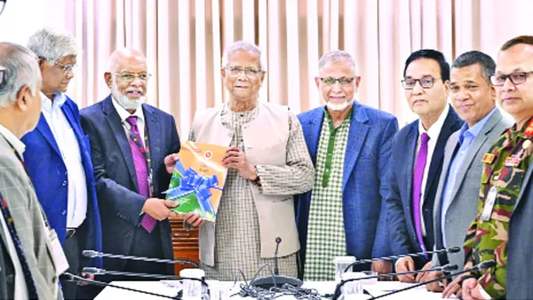 আয়বৈষম্য হ্রাস, রাষ্ট্রীয় সক্ষমতা নিয়ে প্রশ্ন