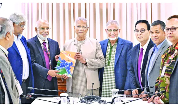 আয়বৈষম্য হ্রাস, রাষ্ট্রীয় সক্ষমতা নিয়ে প্রশ্ন