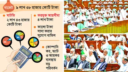 মেগা বাজেট পাস