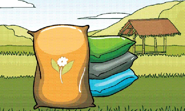 ভরমৌসুমে তীব্র সারসঙ্কট