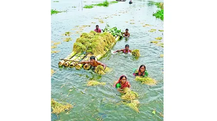ভয়াবহ বন্যার আশঙ্কা