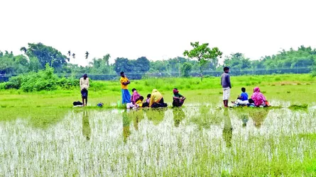 ভয়ঙ্কর রূপে পুশইন