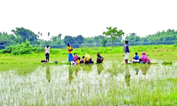 ভয়ঙ্কর রূপে পুশইন