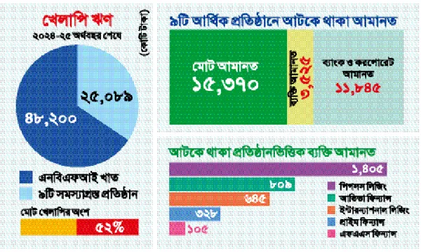 পাঁচ ব্যাংকের নজির, ৯ আর্থিক প্রতিষ্ঠানের শঙ্কা