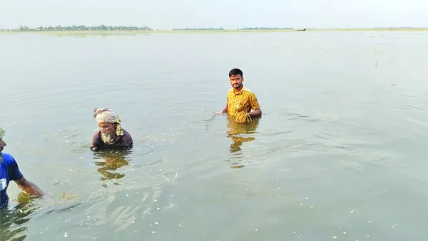 বৈশাখেই বর্ষাকালের রূপ সুনামগঞ্জের হাওরের