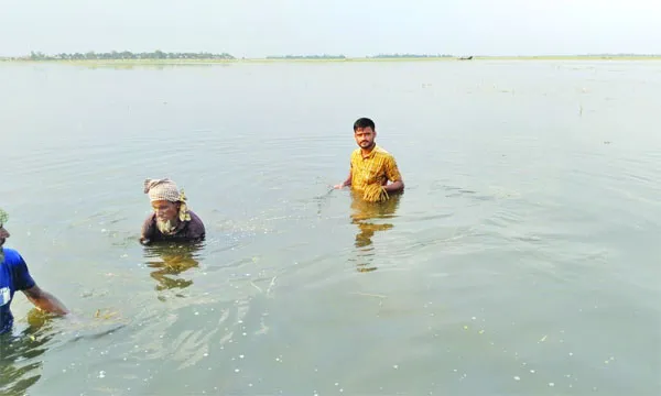 বৈশাখেই বর্ষাকালের রূপ সুনামগঞ্জের হাওরের