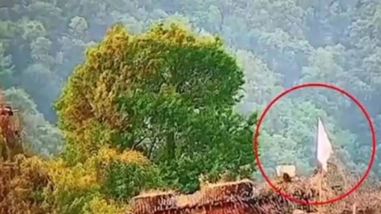 সাদা পতাকা উড়িয়ে পরাজয় স্বীকার ভারতীয়দের, দাবি পাকিস্তানের