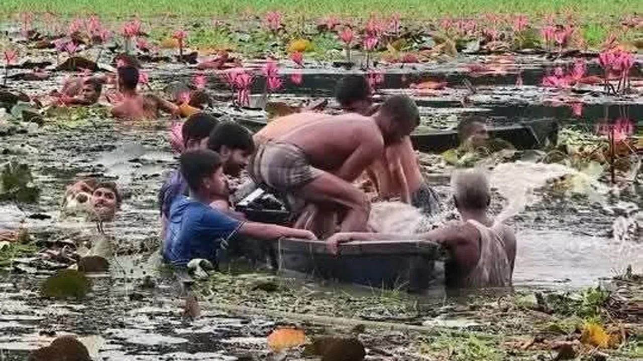 গাজীপুরে শাপলা বিলে নেমে ২ বন্ধুর মৃত্যু