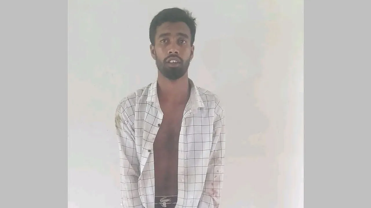 গাইবান্ধায় নাতির বেগির কোপে দাদি নিহত, দাদা গুরুতর আহত