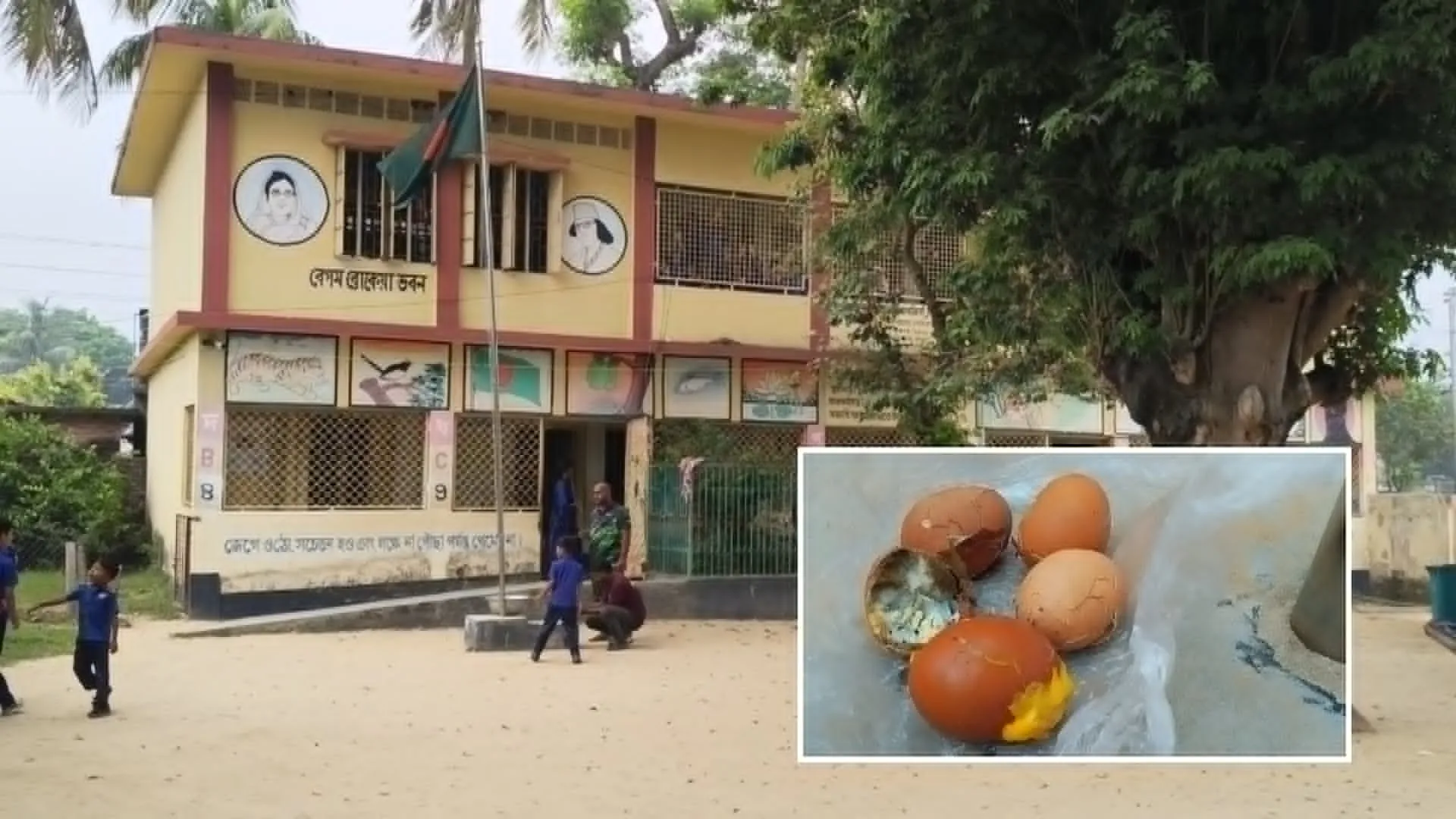 গাংনীর বিদ্যালয়ে নষ্ট ডিম-পাউরুটি বিতরণ, ঠিকাদারের বদলে প্রধান শিক্ষককে শোকজ