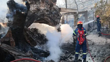 গ্রিসে দাবানলে ২ জনের মৃত্যু
