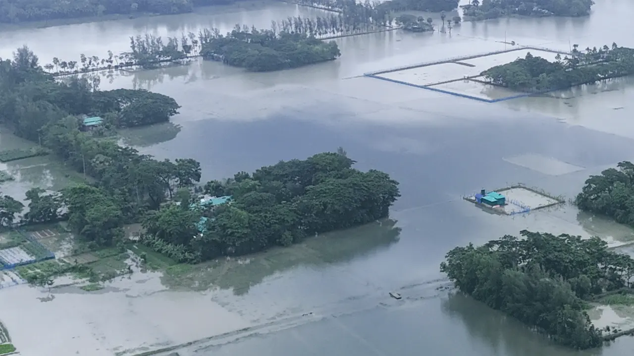 টানা বর্ষণে জলাবদ্ধতা হাতিয়ার নিম্নাঞ্চল, পানিবন্দি অর্ধলক্ষ মানুষ