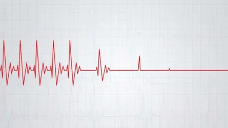 শরীরে কোন বিষয়গুলো ঘটলে মানুষ হঠাৎ মারা যায়?