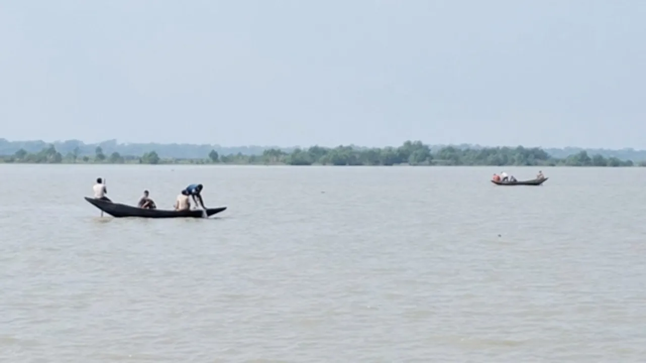 নিষেধাজ্ঞায়ও বরগুনার উপকূলের নদীতে চলছে ইলিশ নিধন