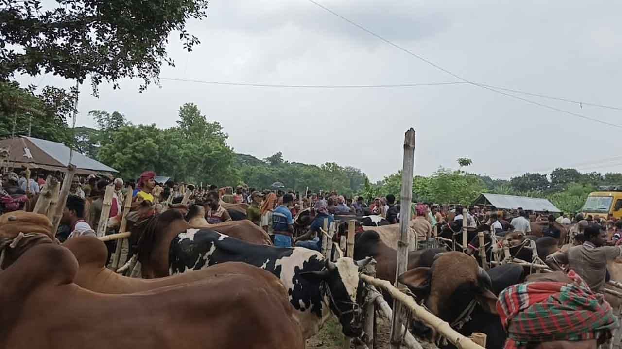 জীবননগর