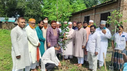 চুয়াডাঙ্গায় জামায়াতের বৃক্ষরোপণ কর্মসূচির উদ্বোধন, ৩০ হাজার গাছ লাগানোর লক্ষ্য