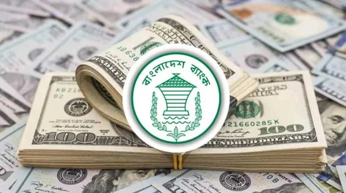নতুন গ্রামীণ অর্থনীতি গড়ছে প্রবাসীদের পাঠানো অর্থ