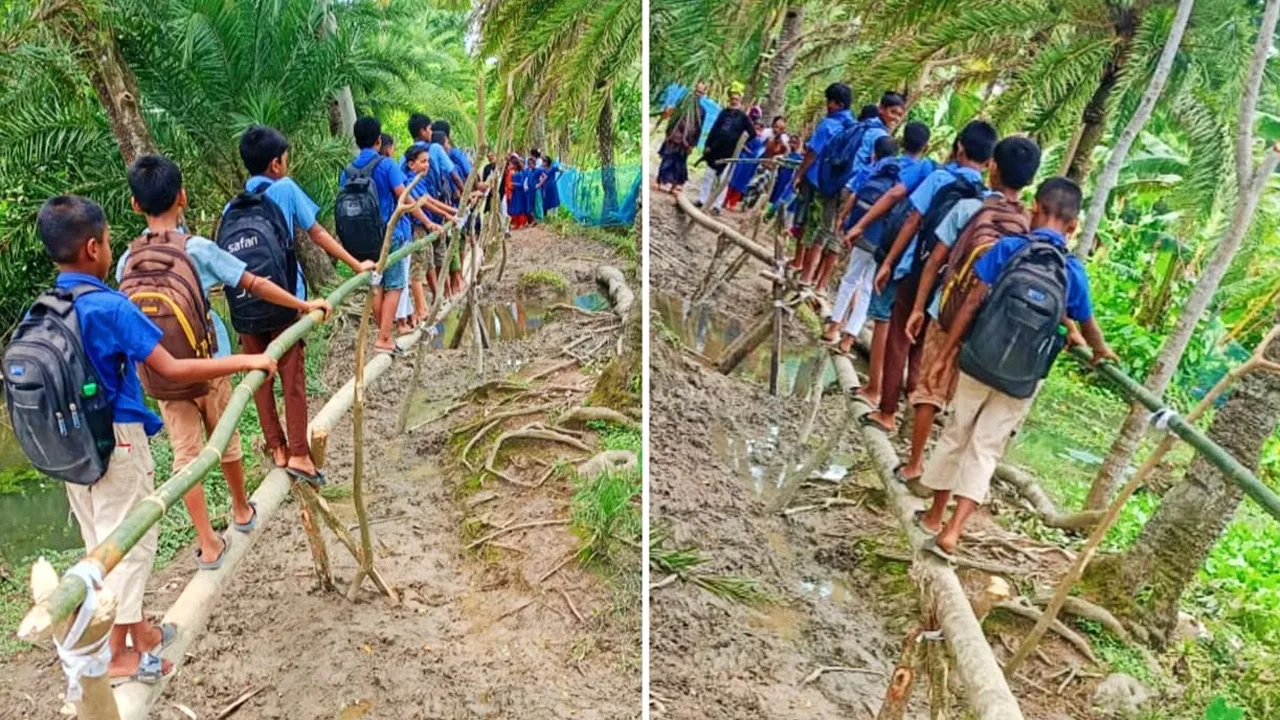 চলাচলের অযোগ্য সড়ক, ঝুঁকি নিয়ে সাঁকো পারাপার শিক্ষার্থীদের