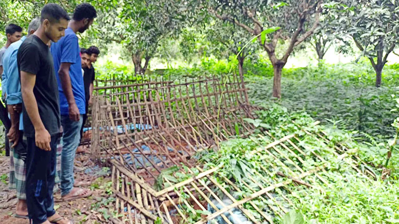 রাতের আঁধারে কবর থেকে ৩০ কঙ্কাল উধাও