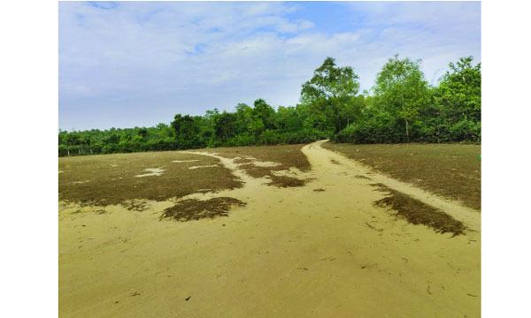khela