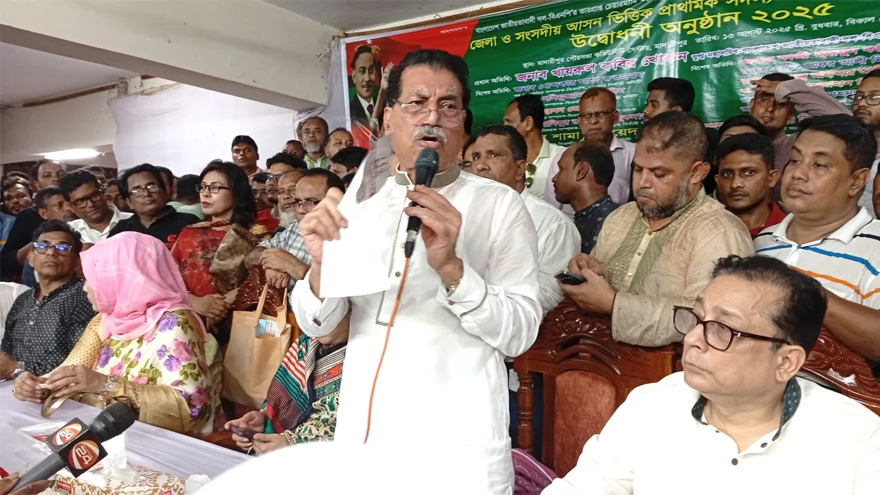 রাজনৈতিক স্থিতিশীলতা হারালে আবারো এক-এগারো সৃষ্টি হতে পারে : বিএনপি নেতা