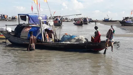 কুয়াকাটায় নদী-সাগরে সব ধরনের মাছ ধরায় নিষেধাজ্ঞা
