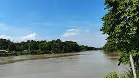ফরিদপুরে পানিতে ডুবে ২ জনের মৃত্যু, নিখোঁজ আরো এক