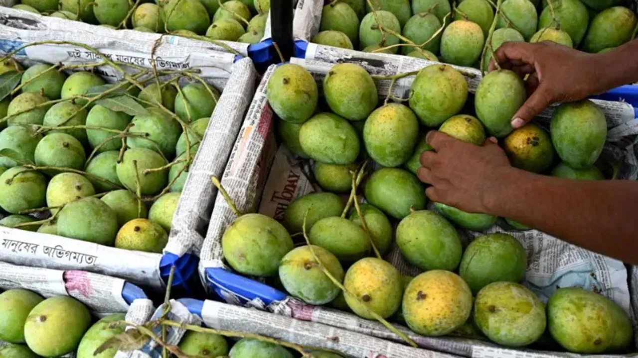 আমের ঝুড়ি ঘিরে এশিয়াতে যত কূটনীতি, রহস্য