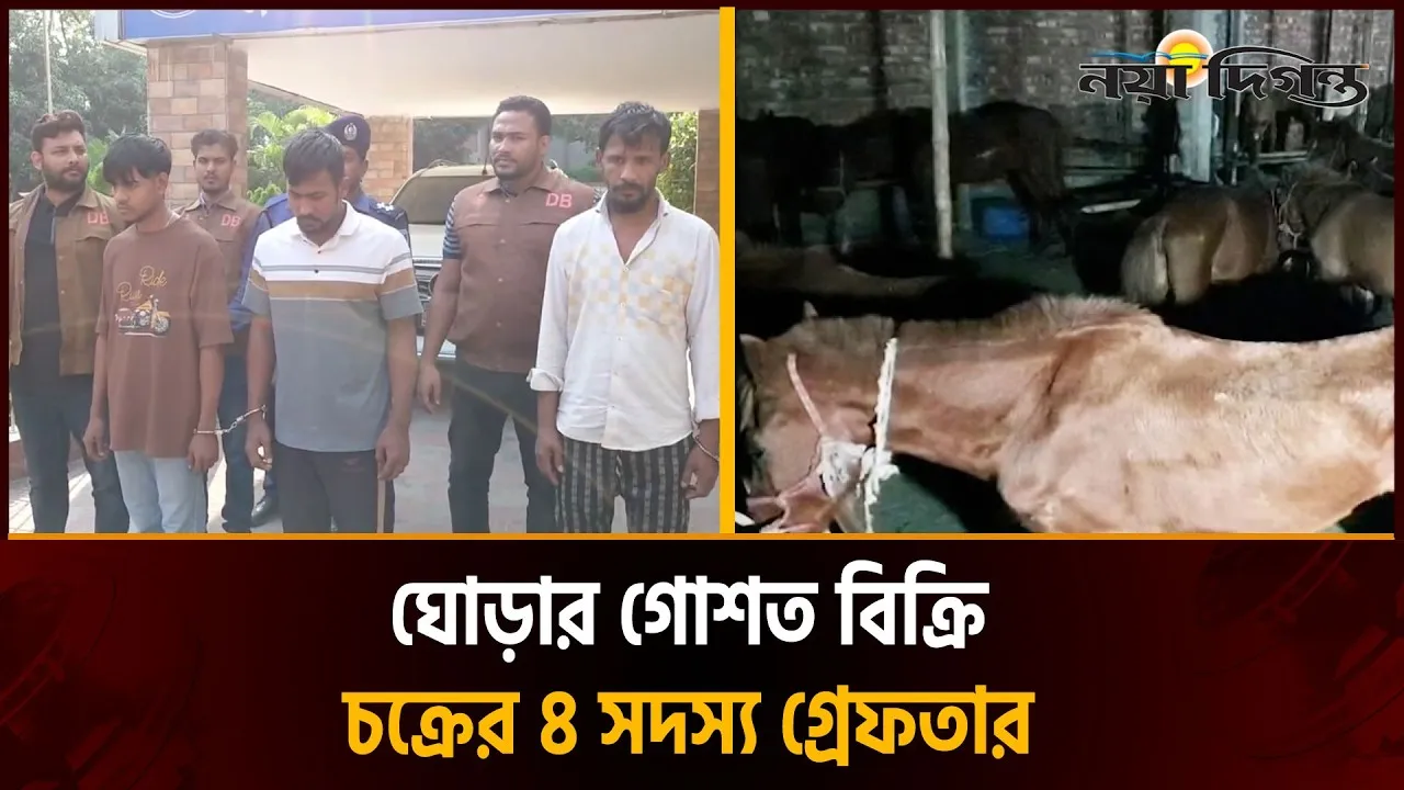 ঘোড়া জবাই করে গরুর গোশত বলে বিক্রি, আটক ৪