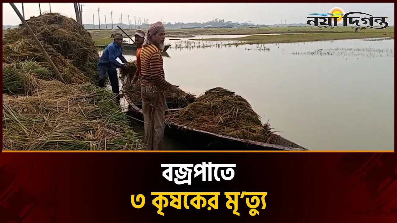 নেত্রকোণার খালিয়াজুরীতে পৃথক স্থানে বজ্রপাতে ৩ জনের মৃত্যু