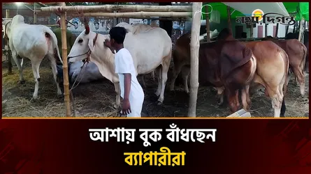 জমজমাট হয়ে উঠছে টঙ্গীর ঐতিহ্যবাহী কোরবানির পশুর হাট