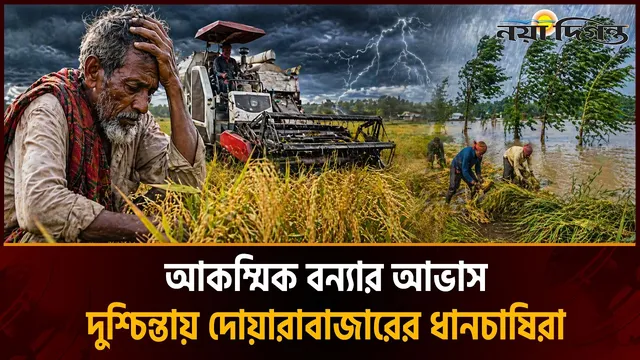 জ্বালানি আর শ্রমিক সঙ্কটে বোরো ধান ঘরে তুলা নিয়ে বিপাকে দোয়ারাবাজারের কৃষকরা