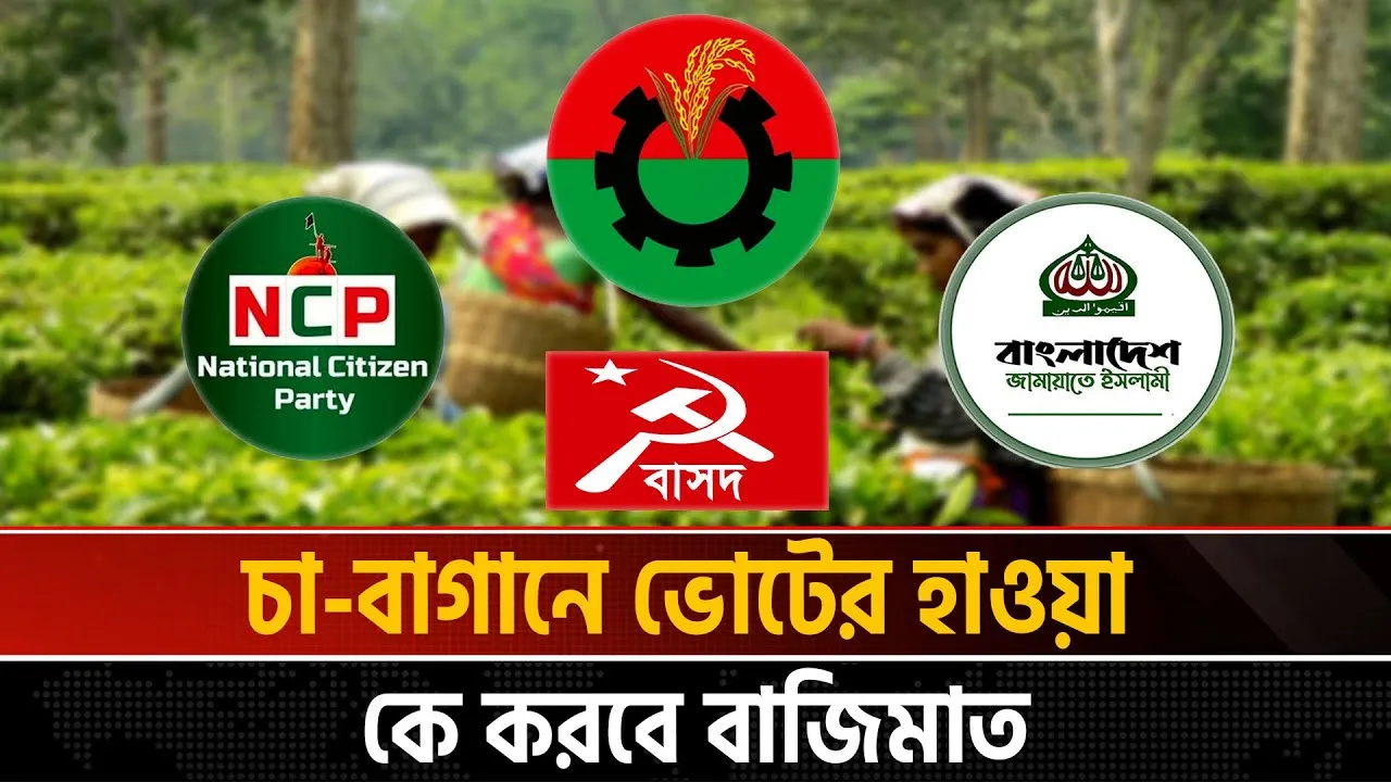 চতুর্মুখী লড়াইয়ের আভাস মৌলভীবাজার-৪ আসনে