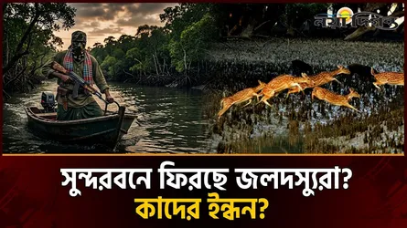 রাজনৈতিক ইন্ধন ও পুনর্বাসনের ব্যর্থতা; সুন্দরবনে আবারো জলদস্যুদের তাণ্ডব