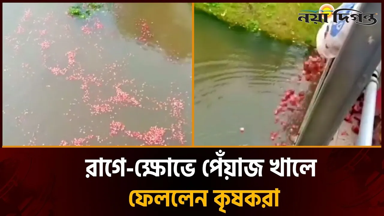 হাটে-বাজারে পেঁয়াজের ন্যায্যমূল্য না পেয়ে খালে ফেললেন রাজবাড়ীর কৃষকরা