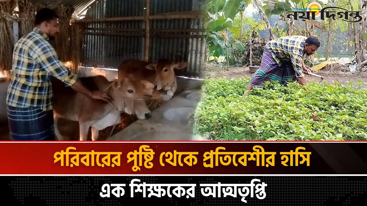 শিক্ষকতার পাশাপাশি কৃষি কাজে দৃষ্টান্ত গড়লেন মিজানুর রহমান