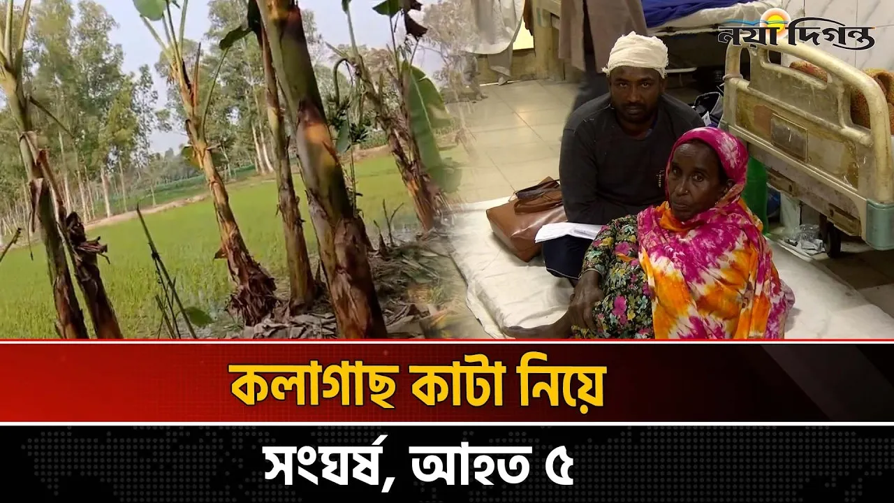 রংপুরে কলাগাছ কাটার দ্বন্দ্বে দুই পক্ষের সংঘর্ষ, আহত ৫