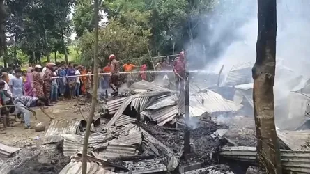 মাদারীপুরে আগুনে গবাদিপশুসহ ৩টি ঘর পুড়ে ছাই, দগ্ধ ২