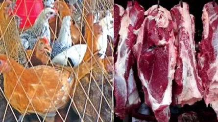 মধ্যস্বত্বভোগীদের পকেটে খামারির লাভের টাকা