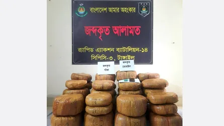 মধুপুরে বিপুল পরিমাণে গাঁজাসহ মাদককারবারি আটক