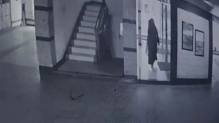 মোহাম্মদপুরে মা-মেয়েকে কুপিয়ে হত্যা, গৃহকর্মী পলাতক