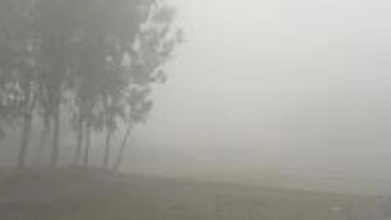 নীলফামারীতে তাপমাত্রা ৯ ডিগ্রির ঘরে