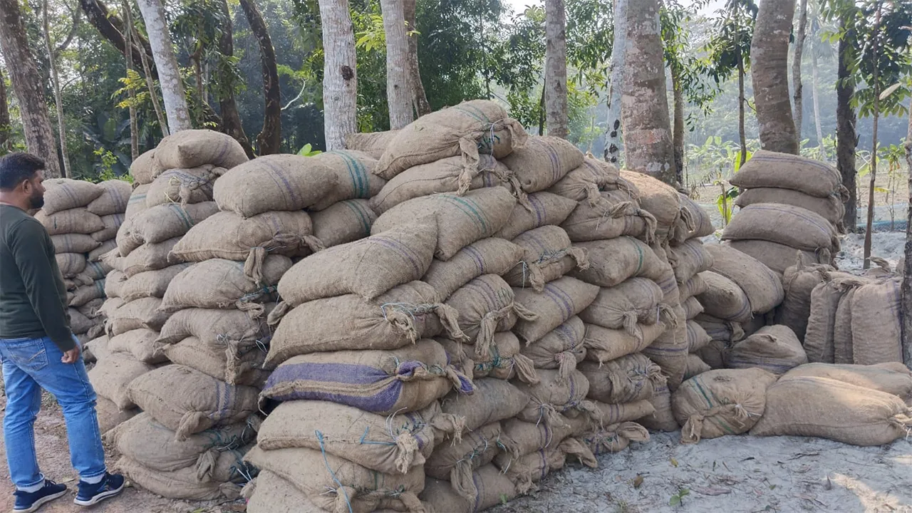 নলছিটিতে পরিত্যক্ত ৪৫০ বস্তা আলু জব্দ